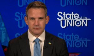 Republican Rep. Adam Kinzinger says he's 'open' to AR-15 ban