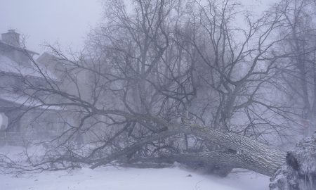 27 fatalities are attributed to the powerful storm in western New York