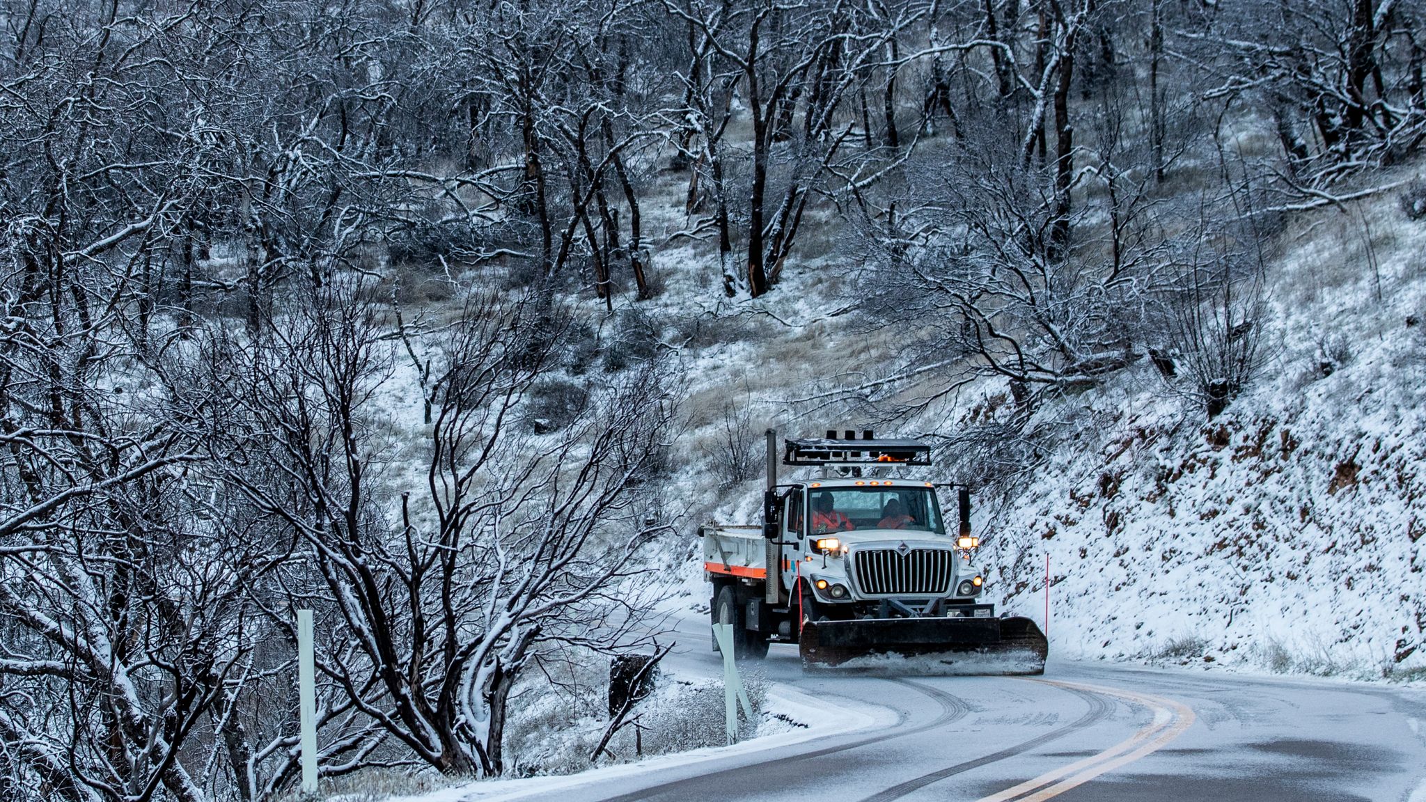 Experience a Once-in-a-Lifetime Blizzard in LA