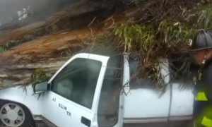 Unbelievable: Tornado rips through California as 'bomb cyclone' causes chaos