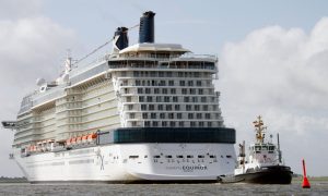 Cruise Ship Horror: Passenger's Body Found in Drinks Cooler After Week-Long Ordeal