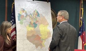 Strategic Maneuvers: Navigating the Altered Congressional Map for House Control