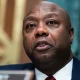 New Hampshire Alert: Tim Scott Backs Trump, Adding Fire to Haley Face-Off