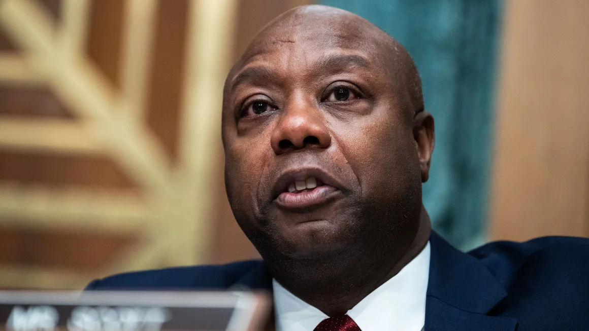 New Hampshire Alert: Tim Scott Backs Trump, Adding Fire to Haley Face-Off