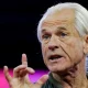 The Lion's Den: Peter Navarro's Potential Prison Peril