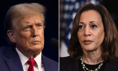 Trump and Harris Health Insurance Debate: Whose Plan Is Out of Touch with Modern Healthcare?