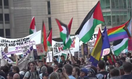 Democratic Convention Under Siege: Protesters Plan Massive Rallies in Chicago