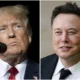 Elon Musk and DeSantis Strategist Join Forces to Help Trump: Will It Work?