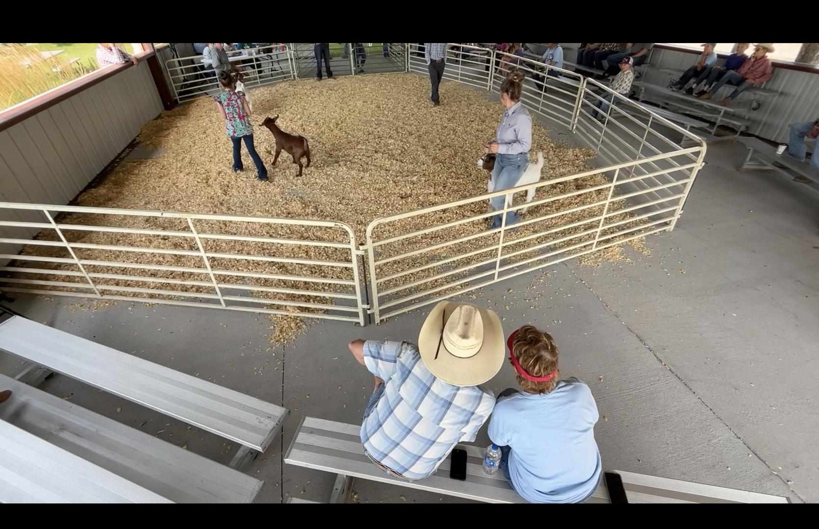 Wyoming Democrats Facing a Crisis: New Primary Election Law Sparks Outrage