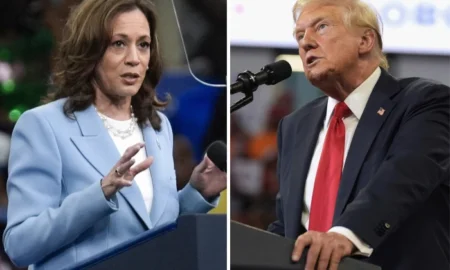 Tech Titans Divided: Harris vs Trump - Who's Better for Innovation?