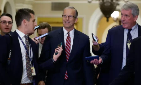 McConnell's Successor: John Thune Elected Senate Leader