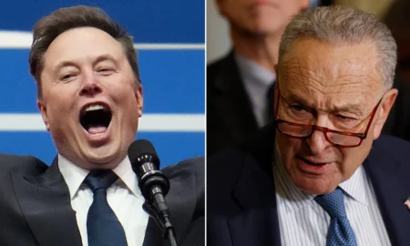 Elon Musk Destroys Schumer Over DOGE—What’s the Full Story?