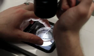 Trump Reviews IVF Overhaul After Fertility Clinic Bombing Shakes Debate