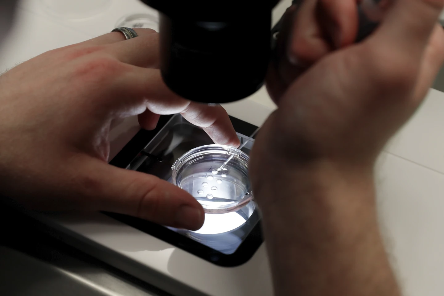 Trump Reviews IVF Overhaul After Fertility Clinic Bombing Shakes Debate