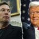 Musk Goes Full "Kill Bill" Mode - The Meme War Against Trump's Legislation